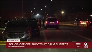 Police: 1 in custody after officer fired shot on Western Hills Viaduct