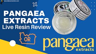 Pangaea Extracts Live Resin Review - Great Effects