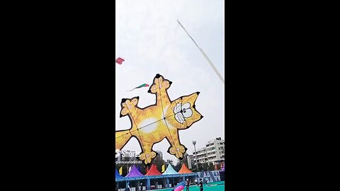 🪁 kite Fastival 2024 ahemdabad Gujarat #ahemdabad #india#kite #gujarat