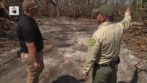 Trees blown down during Hurricane Ian making potential SWFL wildfires more dangerous