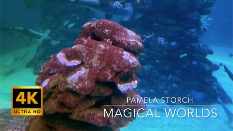 Pamela Storch - Magical Worlds (Official 4K Video) Feat the Red Sea