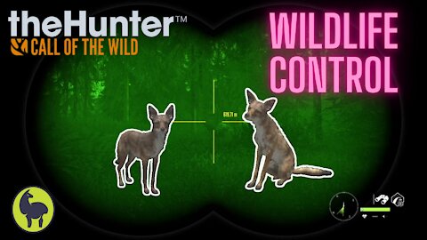 The Hunter: Call of the Wild, Vualez- Wildlife Control