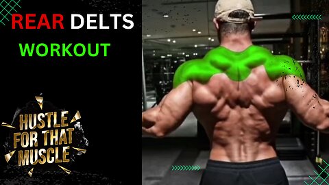 Rear Delts Workout | Add These 4 Exercises To Your Routine |Freestyl