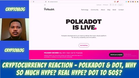 Cryptocurrency Reaction - Polkadot & DOT, Why So Much Hype? Real Hype? DOT To 50$?
