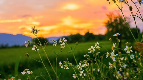 Music heals your heart. Music therapy, beautiful nature