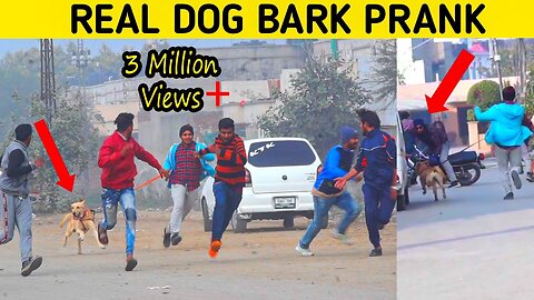Real Dog Bark Prank
