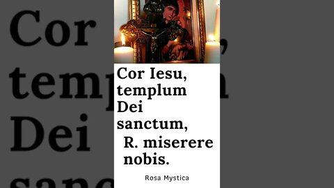 Heart of Jesus, Sacred Temple of God, have mercy on us (IN LATIN) #SHORTS