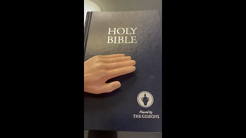 Tuesday reading time: A Gideon Bible: 2nd Samuel 44-48. #holybible #tinyhands #sph #funny