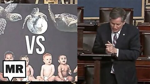 GOP Senator Reaches New Level Of Stupidity, Compares Human Fetuses To Sea Turtle Eggs