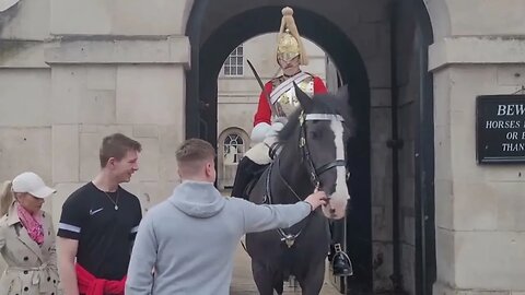 Tourist jumps out of the way of the kings guard #horseguardsparade