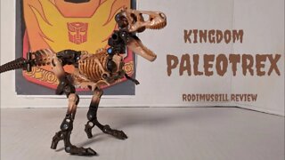 Kingdom PALEOTREX Deluxe Transformers War For Cybertron Fossilzer Review by Rodimusbill (Wave 1)