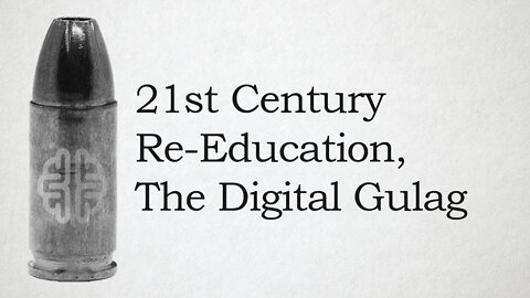 21st Century Re-Education, The Digital Gulag