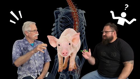 “I have only used PIG SPINES for my research” Q&A with Professor Stuart McGill part 1