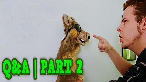 BwolfTheWolf: Questions & Answers - Part 2 (2018)