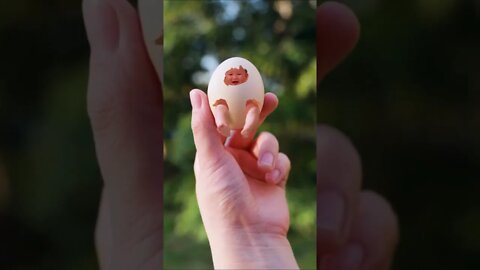 What Happened Cute Baby - Egg hatching human baby #shorts #magicediting #all_story #cutebaby