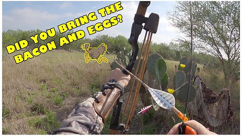 vlog - Hog Hunt turned Turkey Hunt - Archery with Special Guest Albert Guerra