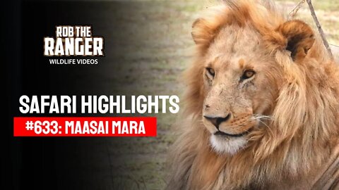 Safari Highlights #633: 10th September 2021 | Maasai Mara/Zebra Plains | Latest Wildlife Sightings