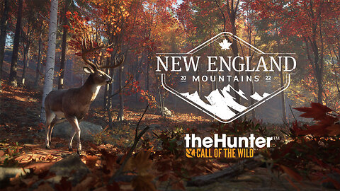 Moose on the RIVER | New England Mtns | theHunter: Call of the Wild