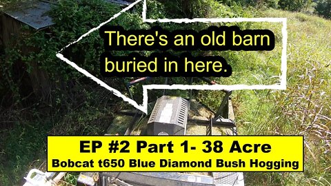 EP #2 - 38 Acre Southern Illinois Investment Property. Bush Hogging 7 foot jungle with Bobcat T650
