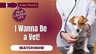 I Wanna Be a Vet!