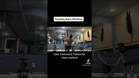 Back workout routine