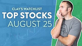 Top 10 Stocks For August 25, 2022 ( $DRUG, $BBBY, $NERV, $AMC, $SOFI, and more! )