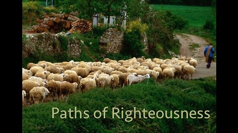 Shepherds and Sheep — Paths of Righteousness