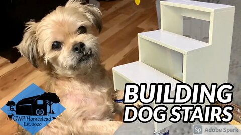 How to Make Dog Stairs | DIY Plywood Dog Steps