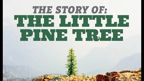 The Little Pine Tree | Children's Short Story