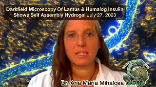 We are at War: Our Insulin is Being Poisoned - Darkfield Microscopy of Lantus and Humalog Insulin Shows Self Assembly Hydrogel - Dr. Ana Maria Mihalcea