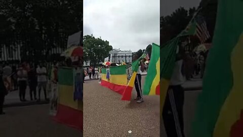 7/7/22 Nancy Drew-Video 2-Ethiopia Protest at WH
