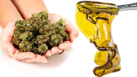 3 DIFFERENT DABS OF DANK WEED MAKE 20%+ YIELD CANNABIS CONCENTRATES