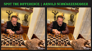 Spot the difference | Arnold Schwarzenegger