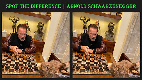 Spot the difference | Arnold Schwarzenegger
