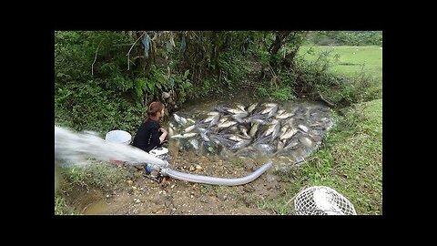 Wild Fishing Exciting | Easy Catch Fish With Large Pump Cannon Sucks Water Out Of Wild Lake Ep16