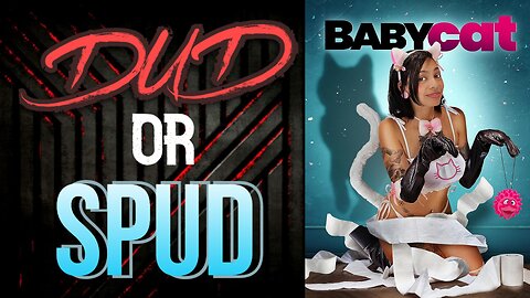 DUD or SPUD - Baby Cat | MOVIE REVIEW