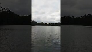 MUITO LINDO ESSE LUGAR! IBIRAPUERA