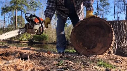 How to cut a big log with a small chainsaw