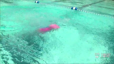 St. Pete Firefighters and lifeguards team up to fundraise for free swim lessons