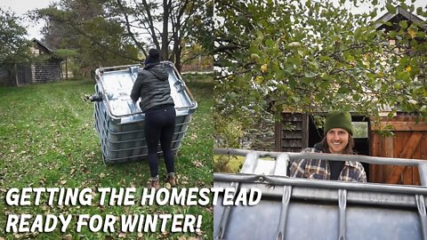 Winterizing the Homestead, Building a Driveway for Vanlife, and harvesting oyster mushrooms.