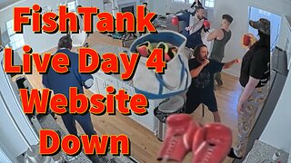 FishTank Live Day 4 Website Down