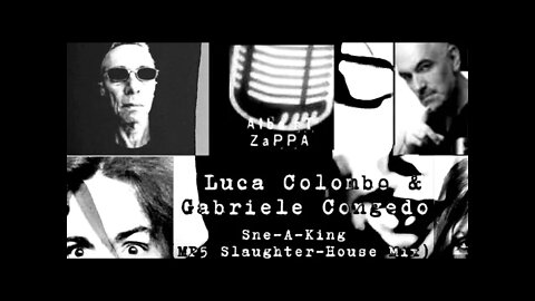 VIDEOCLIP di "SNE-A-KING" (MP5 SLAUGHTER-HOUSE MIX) di Luca Colombo e Gabriele Congedo