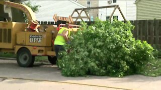 Storm cleanup continues three days after storm