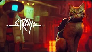 Stray - Episode 4