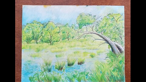 Drawing a landscape- Lillypad Pond.