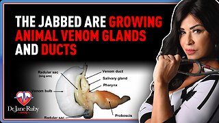 The Jabbed Are Growing Animal Venom Glands and Ducts