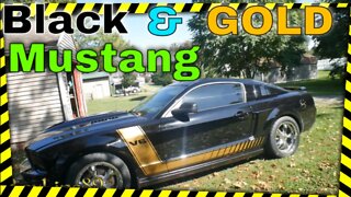 2008 Black And Gold Ford Mustang Theme