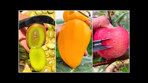 Farm Fresh Ninja Fruit | Tik Tok China | (Oddly Satisfying Fruit Ninja)