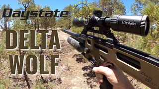 Daystate Delta Wolf Showcase with Ultra Valve - Advanced Technology for Precision Shooters!