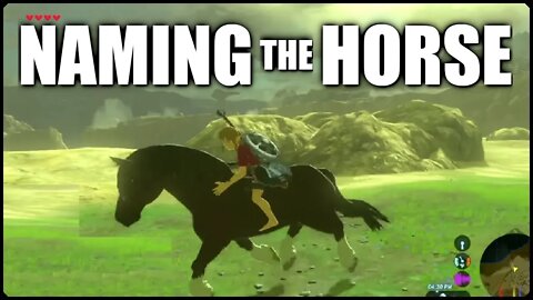 HORSE NAME IDEAS (giggle) | Breath of the Wild - YOU CHOOSE | Zelda BotW | Basement | S3E13